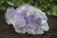 Natural Large Jacaranda Amethyst Vug Specimen  x 1 From Mumbwa, Zambia - Toprock Gemstones and Minerals 