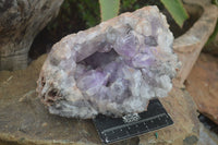 Natural Jacaranda Amethyst Clusters  x 2 From Zambia - Toprock Gemstones and Minerals 