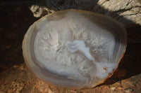 Polished Gorgeous Banded Agate Slices  x 6 From Madagascar - Toprock Gemstones and Minerals 