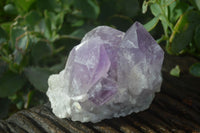 Natural Jacaranda Amethyst Clusters  x 3 From Mumbwa, Zambia - Toprock Gemstones and Minerals 