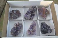 Natural Dark Purple Amethyst Crystal Clusters  x 6 From Zambia - Toprock Gemstones and Minerals 