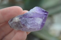 Natural Single Amethyst Crystals  x 35 From Zambia - Toprock Gemstones and Minerals 