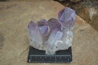 Natural Jacaranda Amethyst Clusters  x 3 From Zambia - Toprock Gemstones and Minerals 