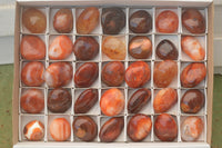 Polished Mini Carnelian Agate Palm Stones  x 35 From Madagascar - TopRock