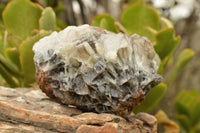 Natural Rare Large Bladed Barite Specimens  x 2 From Tenke Fungurume, Congo - TopRock