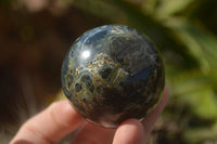 Polished Stromatolite / Kambamba Jasper Spheres  x 3 From Madagascar - TopRock