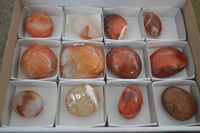 Polished Carnelian Agate Palm Stones  x 12 From Madagascar - Toprock Gemstones and Minerals 