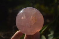 Polished  Star Rose Quartz Spheres x 3 From Ambatondrazaka, Madagascar - TopRock