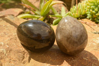 Polished Large Morion Smokey Quartz Eggs x 4 From Madagascar - TopRock