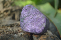 Polished Silky Purpurite Free Forms  x 12 From Namibia - TopRock