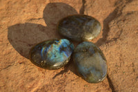 Polished  Flashy Labradorite Palm Stones  x 20 From Tulear, Madagascar