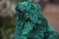 Natural Chatoyant Silky Malachite Specimens  x 3 From Kasompe, Congo