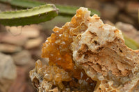 Natural Golden Limonite / Lemonite Quartz Clusters  x 2 From Zambia - TopRock