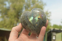 Polished Purple Flash Labradorite Hearts x 6 From Tulear, Madagascar - TopRock