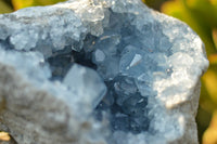 Natural Blue Celestite Geode Specimen With Gemmy Cubic Crystals  x 1 From Sakoany, Madagascar - TopRock