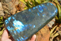 Polished Labradorite Standing Free Form With Deep Blue Flash x 1 From Sakoany, Madagascar - TopRock