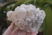 Natural Large Candle Quartz Crystals  x 2 From Madagascar