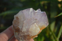 Natural Cactus Flower Amethyst Clusters  x 6 From Boekenhouthoek, South Africa - Toprock Gemstones and Minerals 