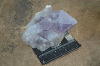 Natural Jacaranda Amethyst Clusters  x 3 From Mumbwa, Zambia - Toprock Gemstones and Minerals 