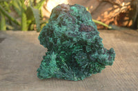 Natural Chatoyant Silky Malachite Specimen  x 1 From Congo