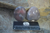 Polished River Agate Palm Stones  x 16 From Sashe River, Zimbabwe