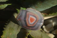 Polished River Agate Nodules  x 6 From Zimbabwe