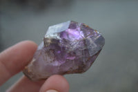 Natural New Window Amethyst Crystals  x 12 From KZN, South Africa - Toprock Gemstones and Minerals 