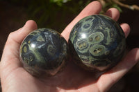 Polished Stromatolite / Kambamba Jasper Spheres  x 3 From Madagascar - TopRock