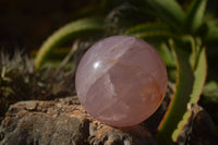 Polished  Star Rose Quartz Spheres x 3 From Ambatondrazaka, Madagascar - TopRock