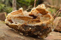 Natural Golden Limonite / Lemonite Quartz Clusters  x 2 From Zambia - TopRock