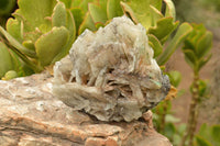 Natural Rare Large Bladed Barite Specimens  x 2 From Tenke Fungurume, Congo - TopRock