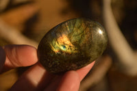 Polished  Flashy Labradorite Palm Stones  x 20 From Tulear, Madagascar