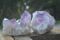 Natural Jacaranda Amethyst Clusters  x 3 From Zambia - Toprock Gemstones and Minerals 