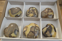 Polished Septaria Hearts x 6 From Mahajanga, Madagascar