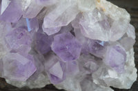 Natural Large Jacaranda Amethyst Vug Specimen  x 1 From Mumbwa, Zambia - Toprock Gemstones and Minerals 