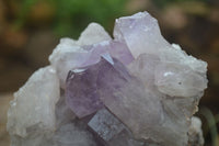 Natural Jacaranda Amethyst Clusters  x 2 From Zambia - Toprock Gemstones and Minerals 