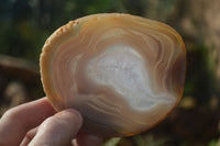 Polished Gorgeous Banded Agate Slices  x 6 From Madagascar - Toprock Gemstones and Minerals 