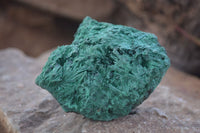 Natural Chatoyant Silky Malachite Specimens  x 7 From Kasompe, Congo