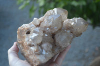 Natural Cascading White Phantom Smokey Quartz Cluster x 1 From Luena, Congo