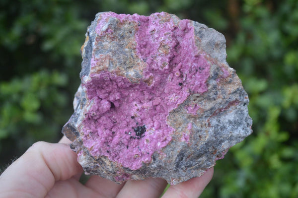 Natural Salrose Cobaltion Dolomite Specimens x 3 From Kakanda, Congo