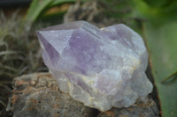 Natural Jacaranda Amethyst Clusters  x 3 From Mumbwa, Zambia - Toprock Gemstones and Minerals 