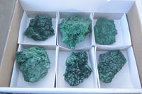 Natural Chatoyant Silky Malachite Specimens  x 6 From Kasompe, Congo