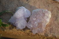 Natural Spirit Amethyst Quartz Crystals x 20 From Boekenhouthoek, South Africa