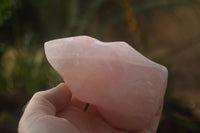 Polished Gemmy Pink Rose Quartz Flames  x 2 From Ambatondrazaka, Madagascar - TopRock