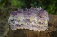 Natural Dark Purple Amethyst Crystal Clusters  x 6 From Zambia - Toprock Gemstones and Minerals 