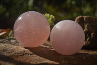 Polished  Star Rose Quartz Spheres x 3 From Ambatondrazaka, Madagascar - TopRock