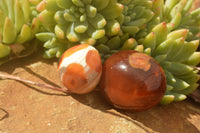 Polished Mini Carnelian Agate Palm Stones  x 35 From Madagascar - TopRock