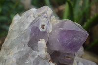 Natural Jacaranda Amethyst Cluster x 1 From Mumbwa, Zambia - TopRock