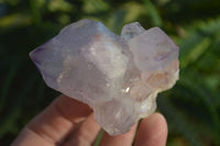 Natural Cactus Flower Amethyst Clusters  x 6 From Boekenhouthoek, South Africa - Toprock Gemstones and Minerals 