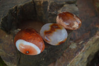 Polished Carnelian Agate Palm Stones  x 12 From Madagascar - Toprock Gemstones and Minerals 